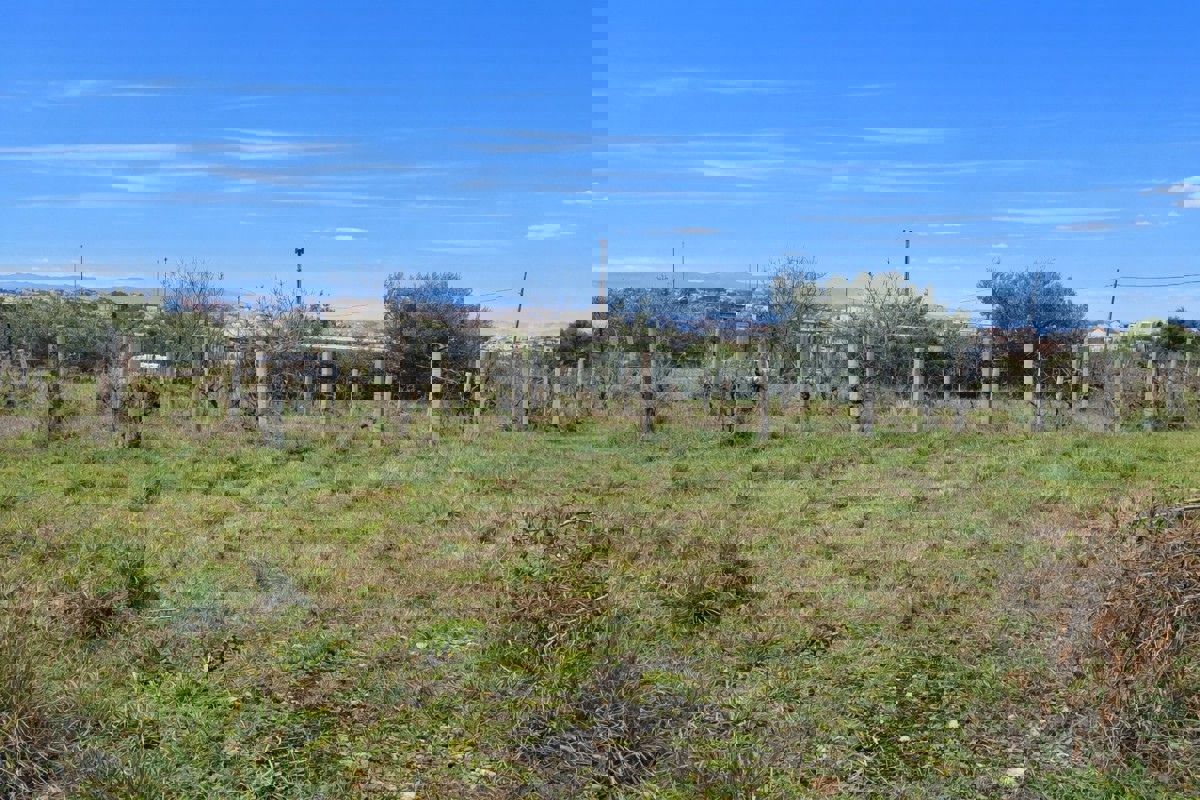 Terreno edificabile con vista mare