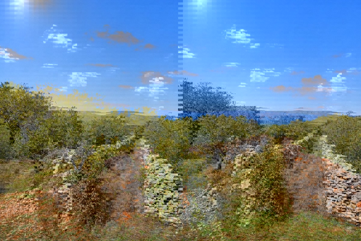 Terreno agricolo in zona UNESCO