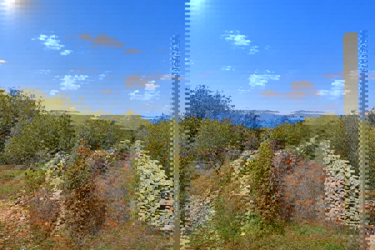 Terreno agricolo in zona UNESCO