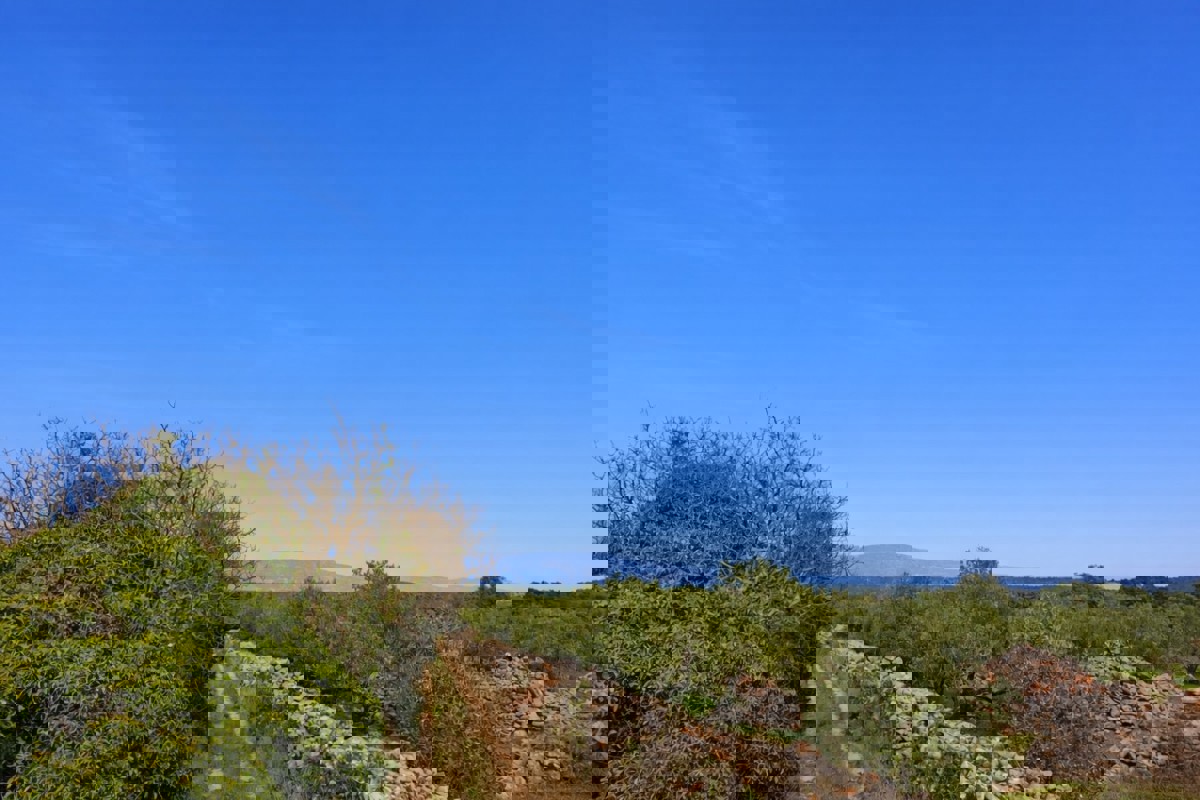 Terreno agricolo in zona UNESCO