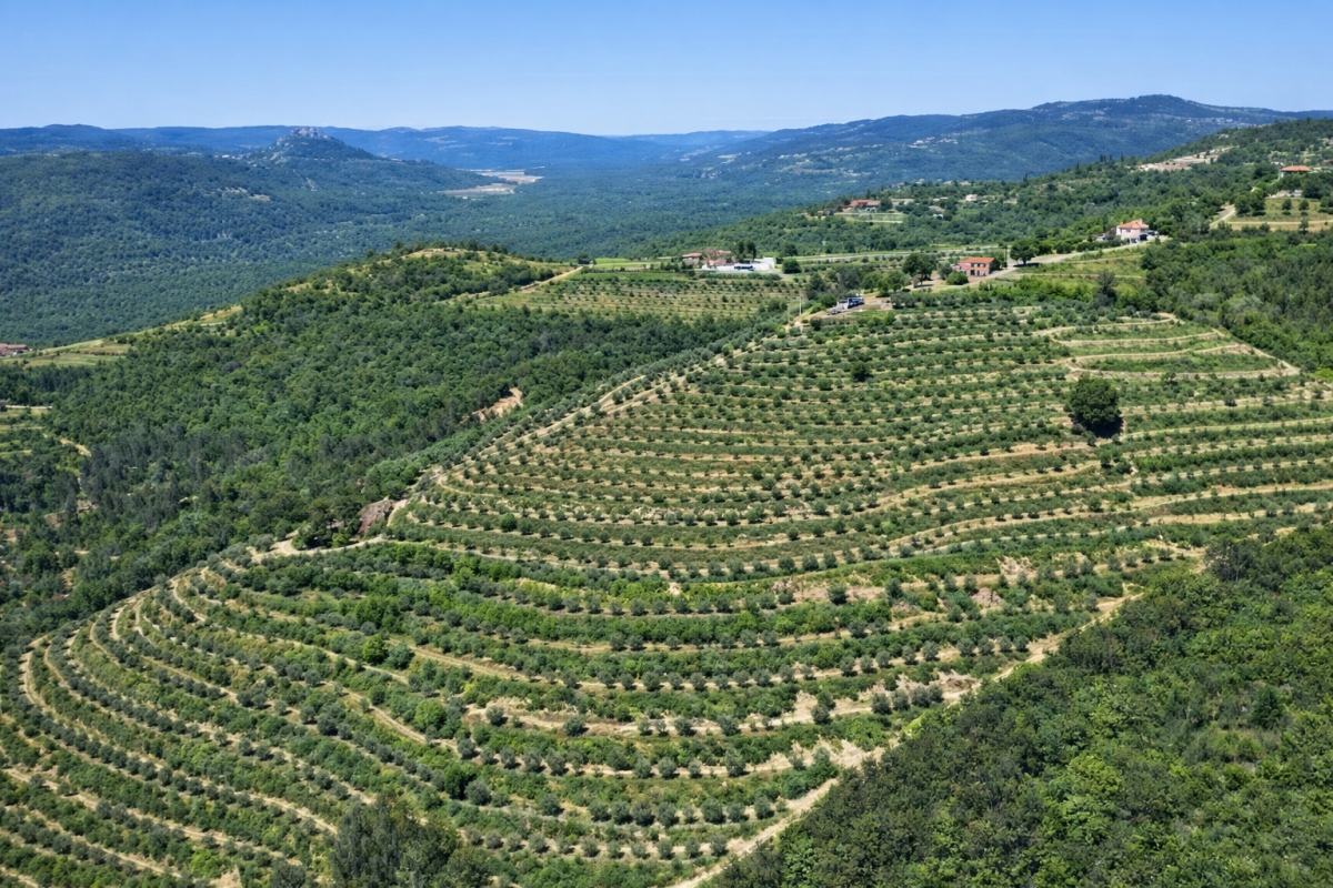 Tenuta unica di 17 ettari con vista panoramica su Motovun e sul lago di Butoniga