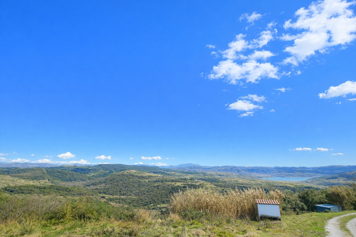 Tenuta unica di 17 ettari con vista panoramica su Motovun e sul lago di Butoniga
