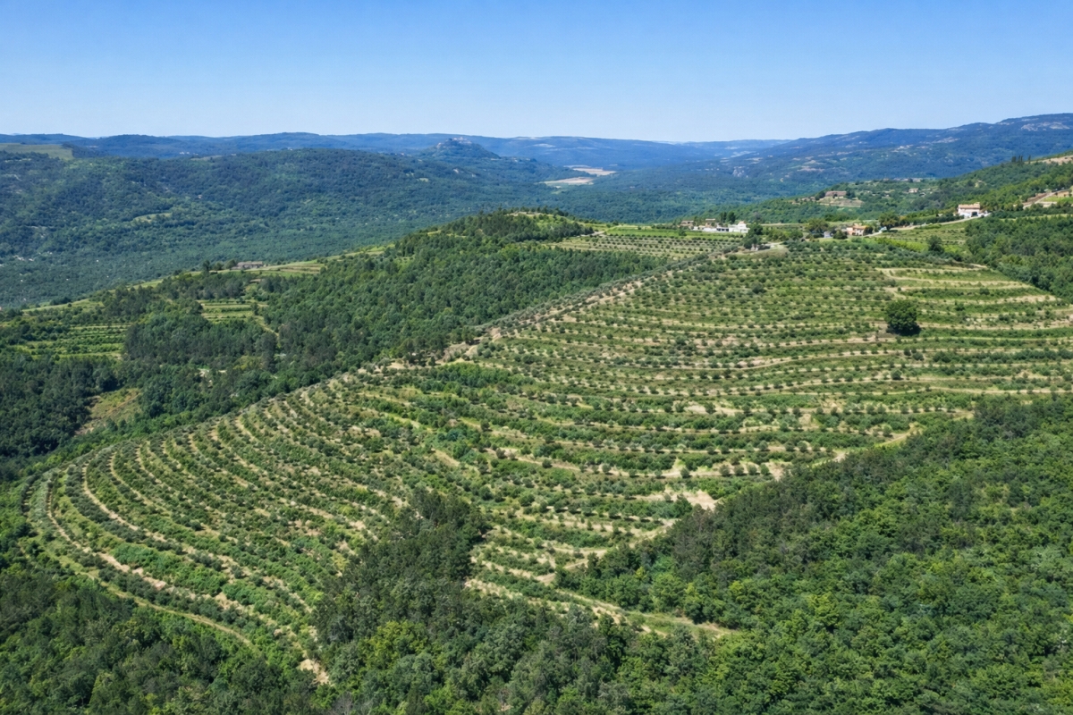 Tenuta unica di 17 ettari con vista panoramica su Motovun e sul lago di Butoniga