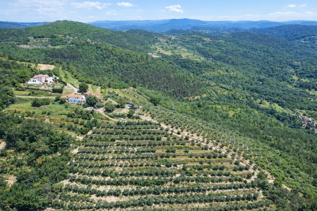 Tenuta unica di 17 ettari con vista panoramica su Motovun e sul lago di Butoniga