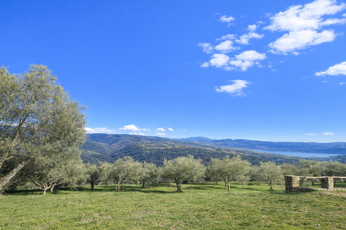 Tenuta unica di 17 ettari con vista panoramica su Motovun e sul lago di Butoniga