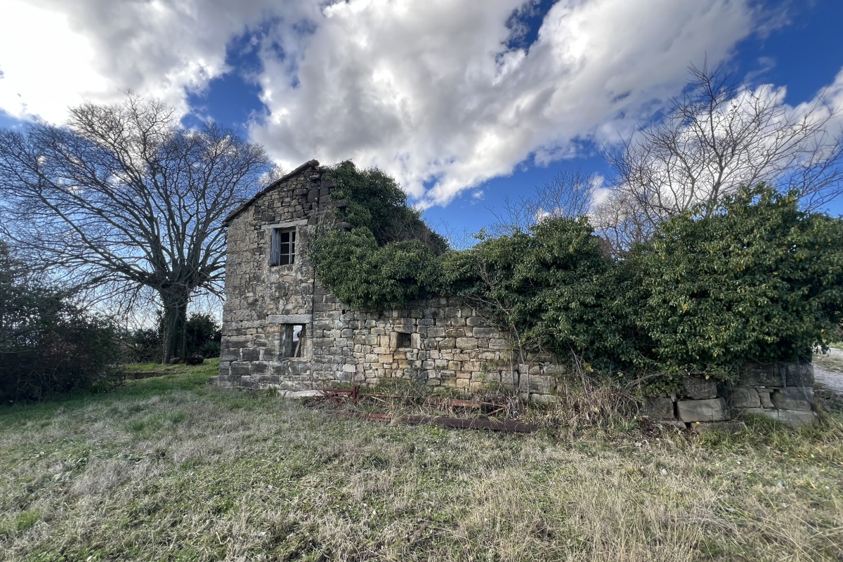 Tenuta unica di 17 ettari con vista panoramica su Motovun e sul lago di Butoniga