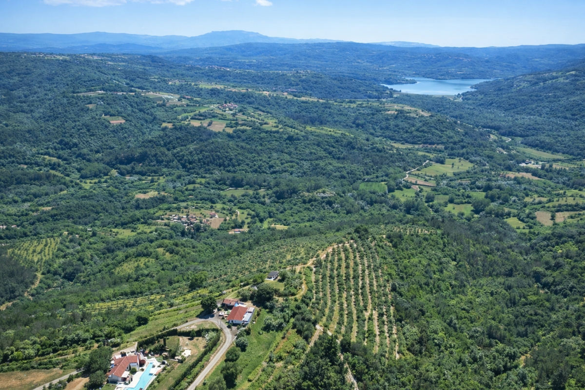 Tenuta unica di 17 ettari con vista panoramica su Motovun e sul lago di Butoniga