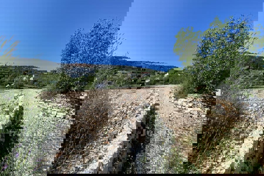Terreno edificabile