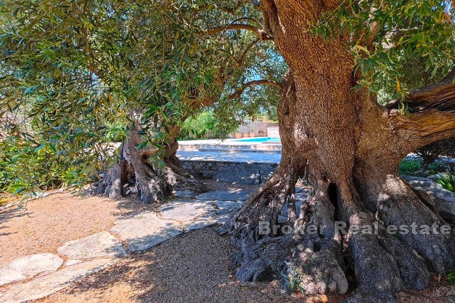 Villa in pietra con piscina e vista mare