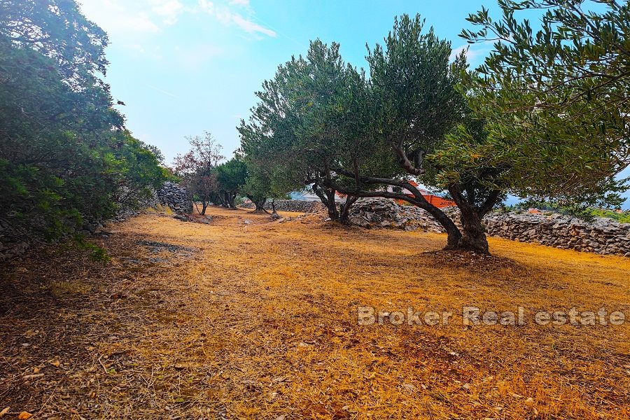 Terreno agricolo con vista mare