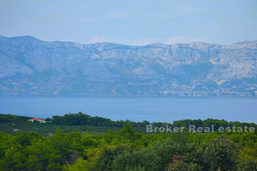 Terreno agricolo con vista mare