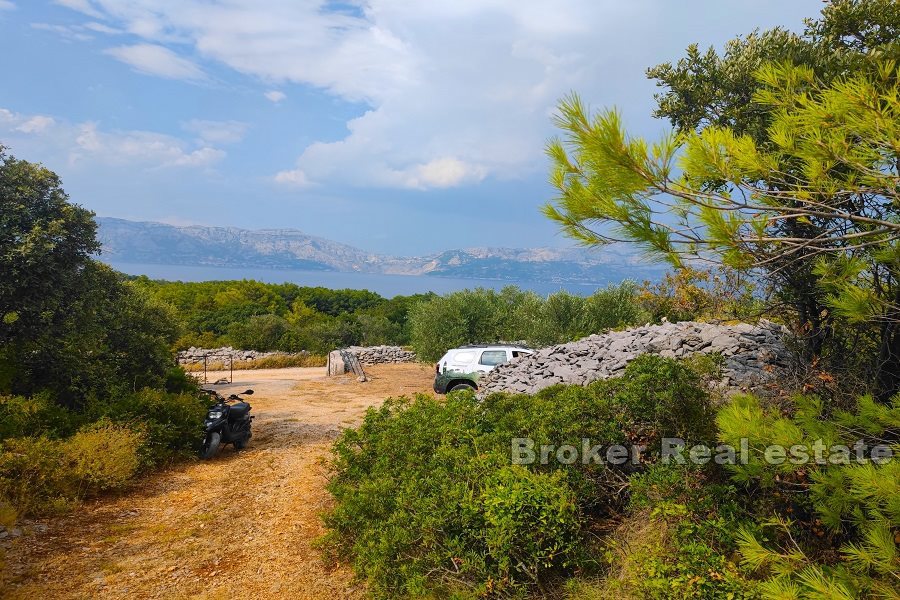 Terreno agricolo con vista mare