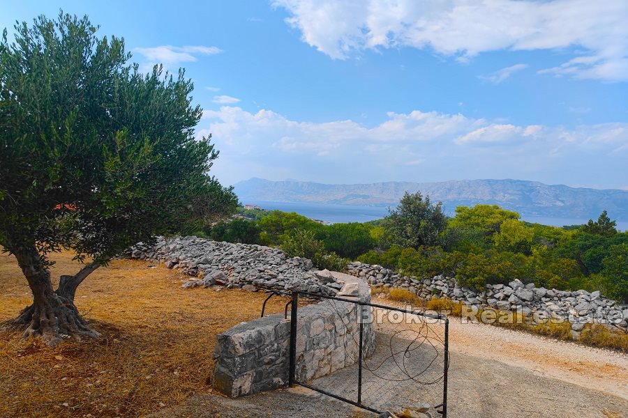 Terreno agricolo con vista mare