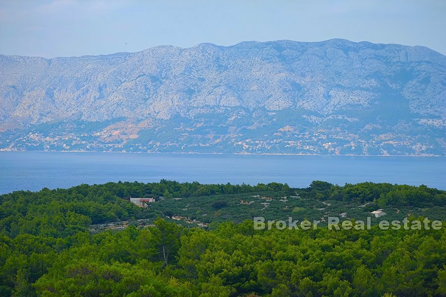 Terreno agricolo con vista mare