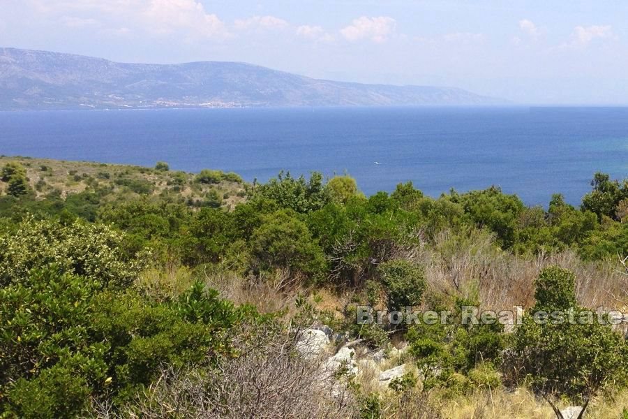 Terreno agricolo seconda fila dal mare