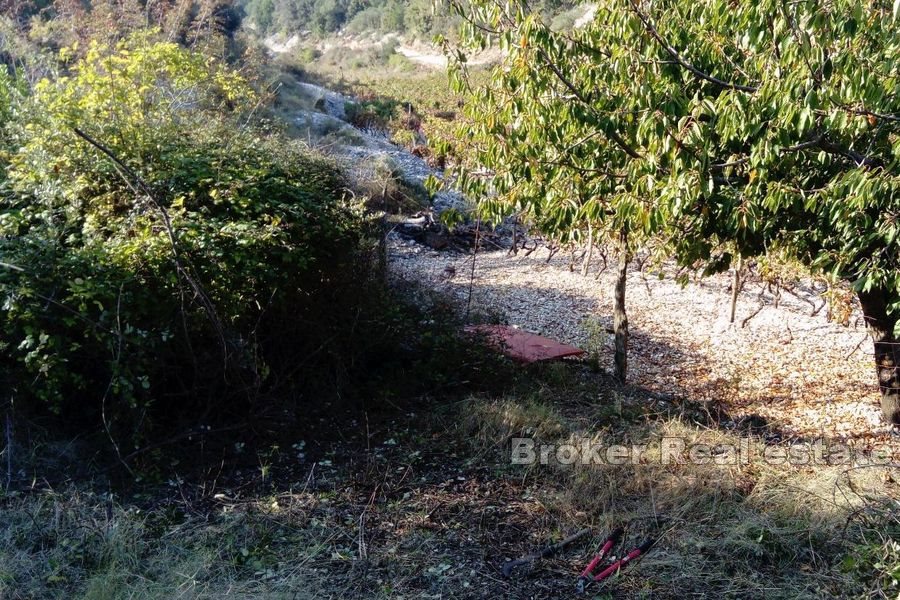 Terreno agricolo con possibilità di edificazione