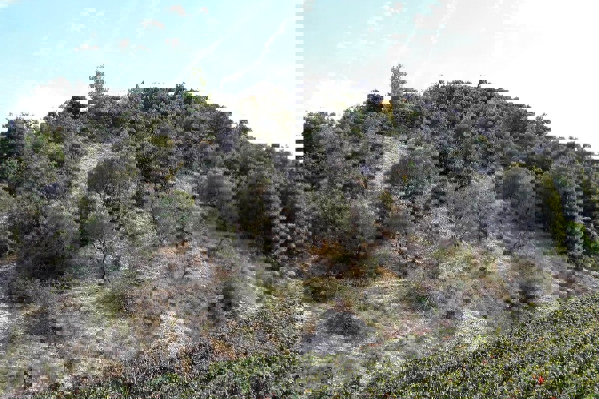 Terreno agricolo con possibilità di edificazione