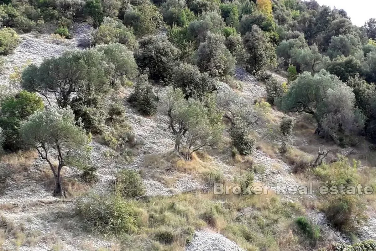 Terreno agricolo con possibilità di edificazione