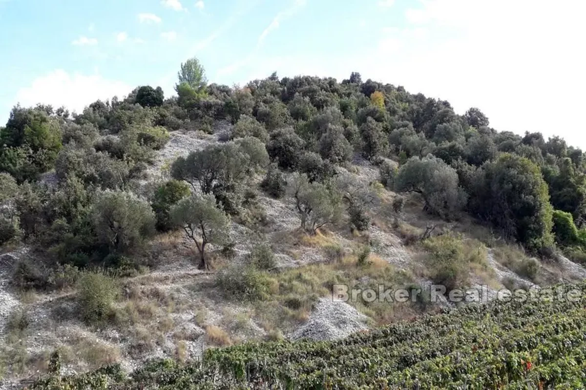 Terreno agricolo con possibilità di edificazione