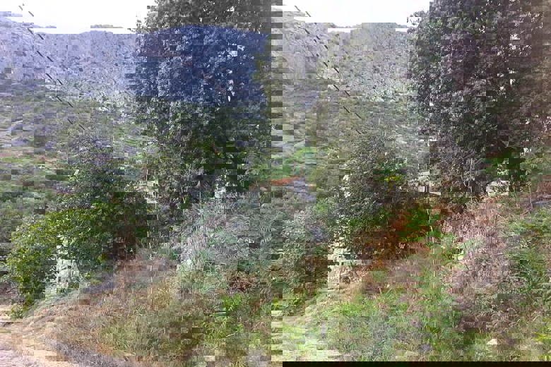 Tre case in pietra, in vendita