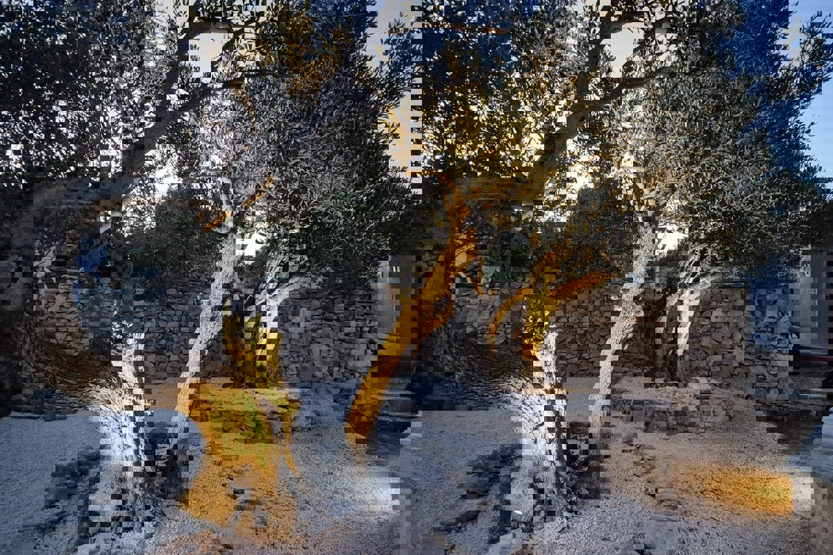 Casa in pietra, in vendita