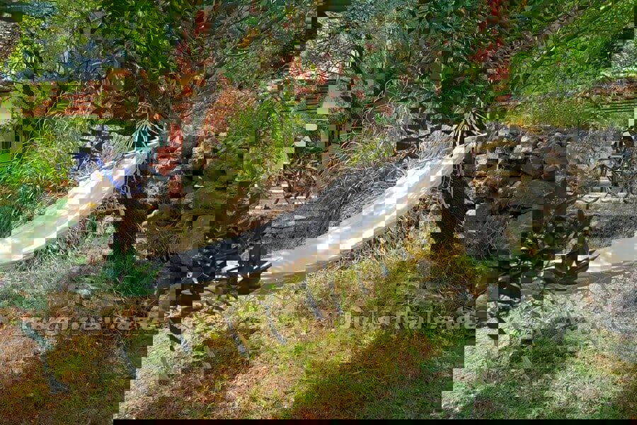 Casa prima fila al mare