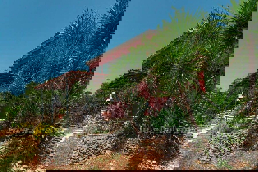 Casa prima fila al mare