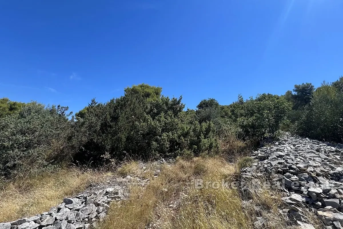 Terreno edificabile con vista mare