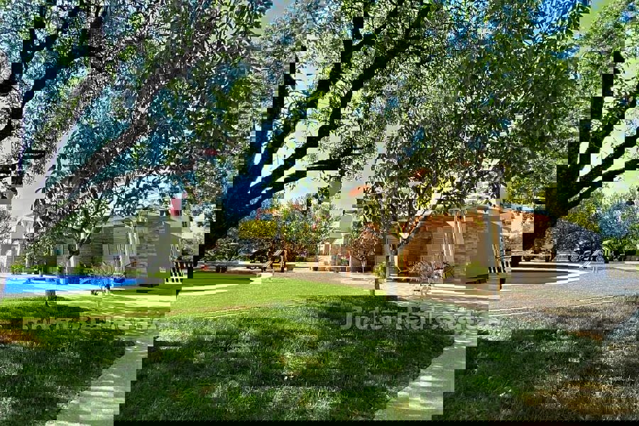 Spaziosa proprietà con più unità abitative e un uliveto