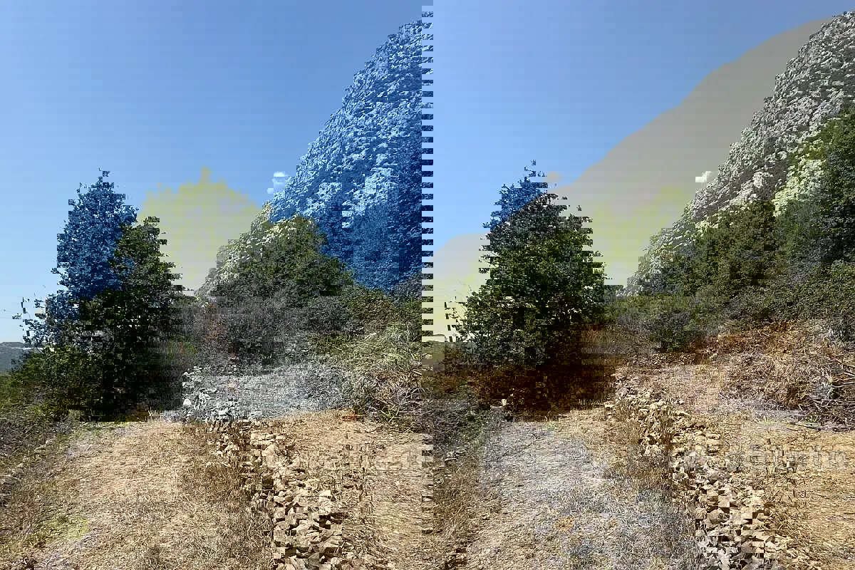 Terreno edificabile in posizione tranquilla