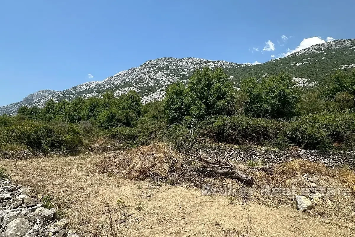 Terreno edificabile in posizione tranquilla