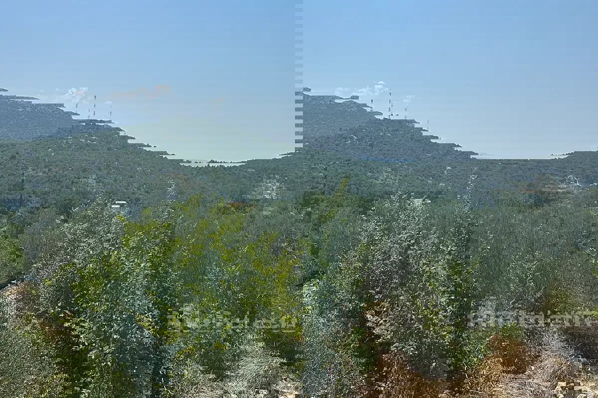 Terreno edificabile in posizione tranquilla