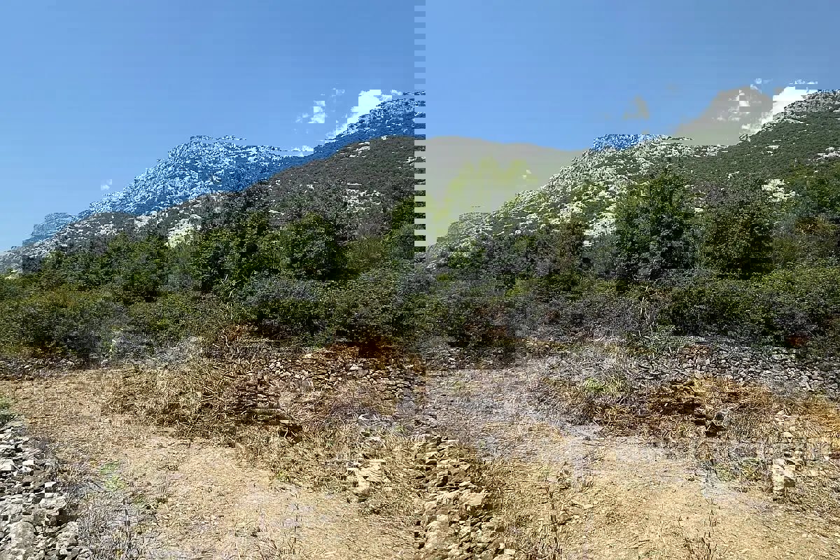 Terreno edificabile in posizione tranquilla