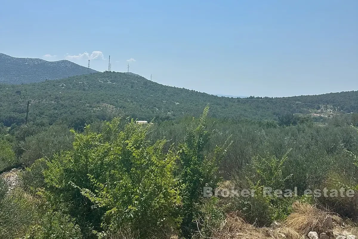 Terreno edificabile in posizione tranquilla