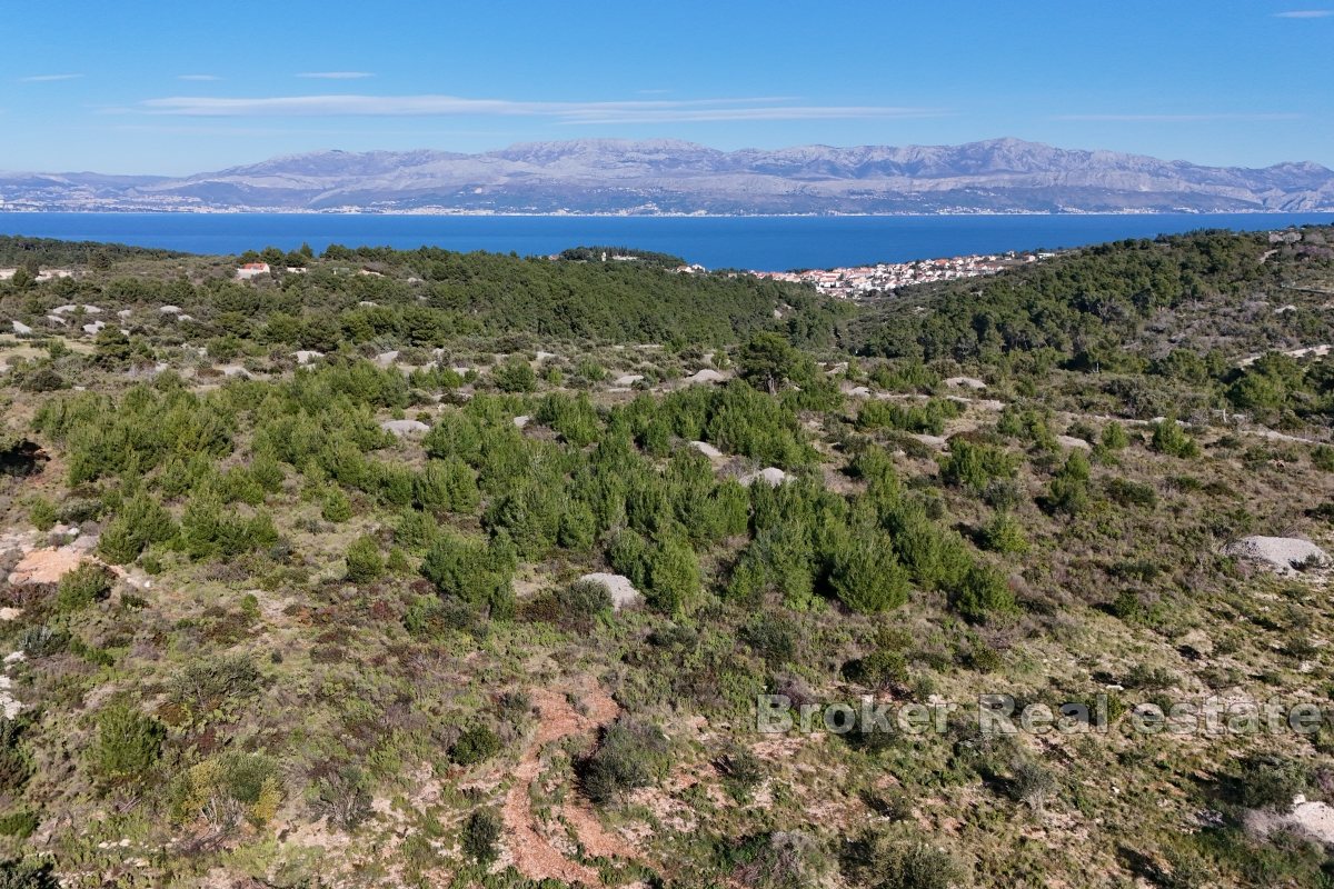 Terreno agricolo in una zona tranquilla della città