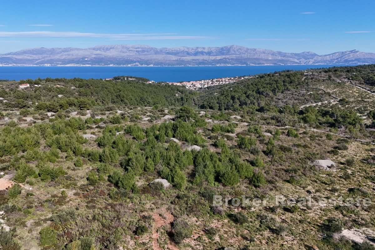 Terreno agricolo in una zona tranquilla della città