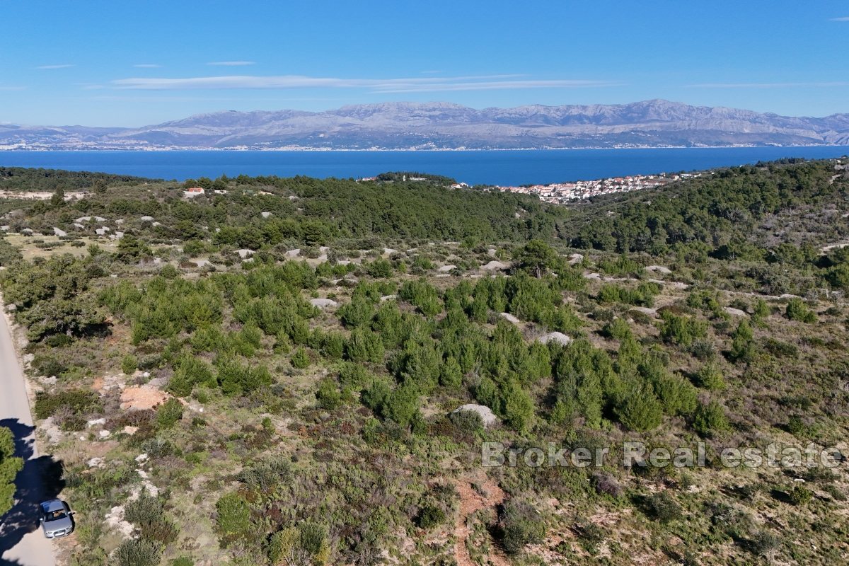 Terreno agricolo in una zona tranquilla della città