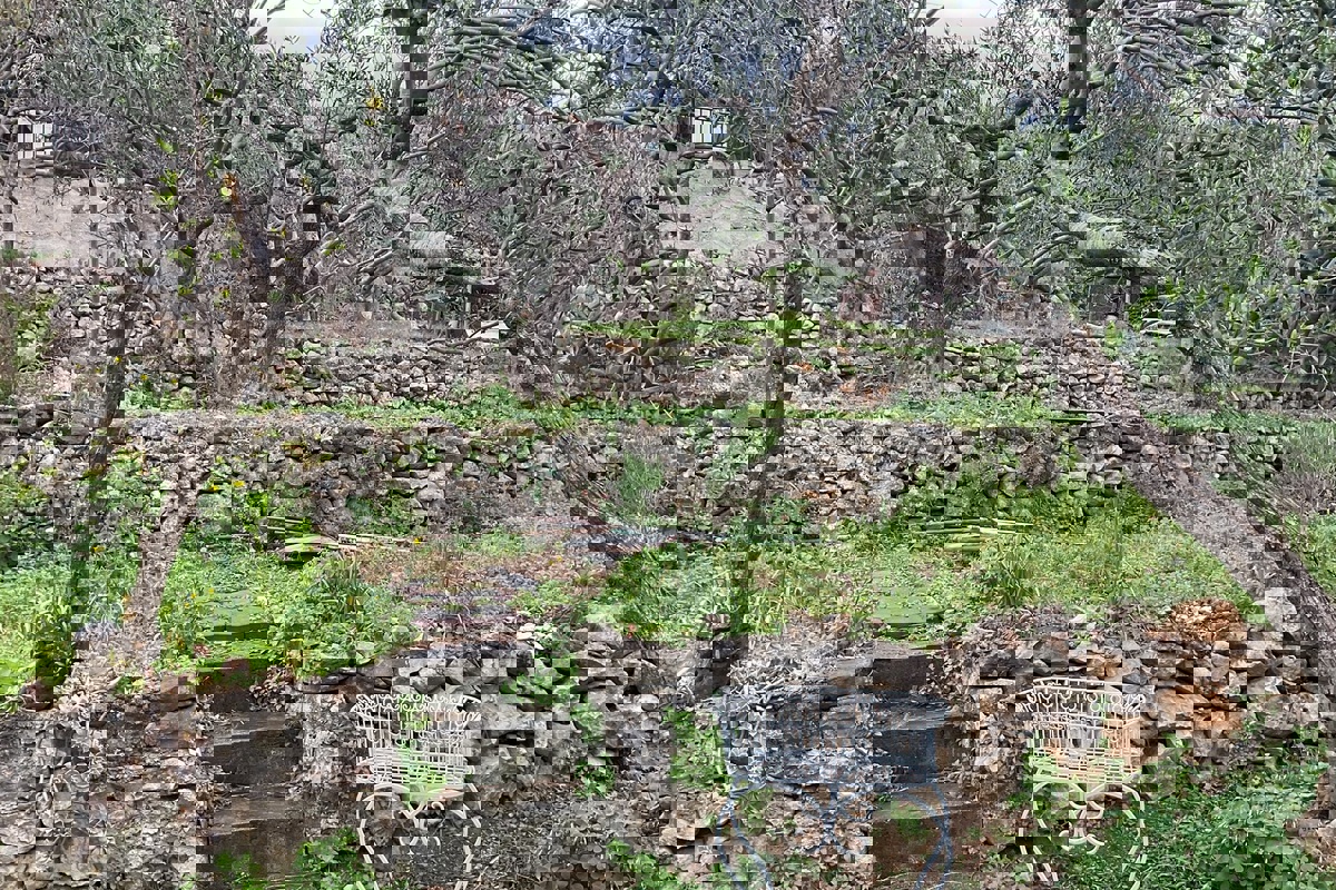Terreno edificabile con vista panoramica sul mare