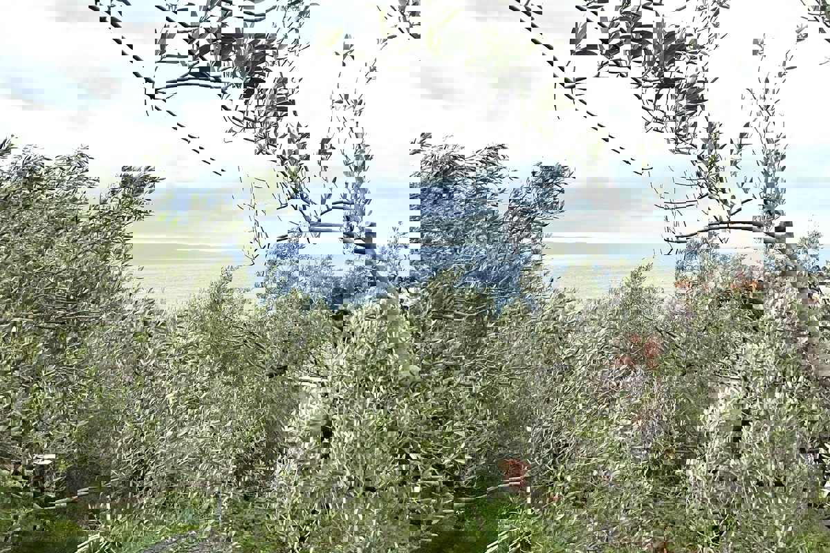 Terreno edificabile con vista panoramica sul mare