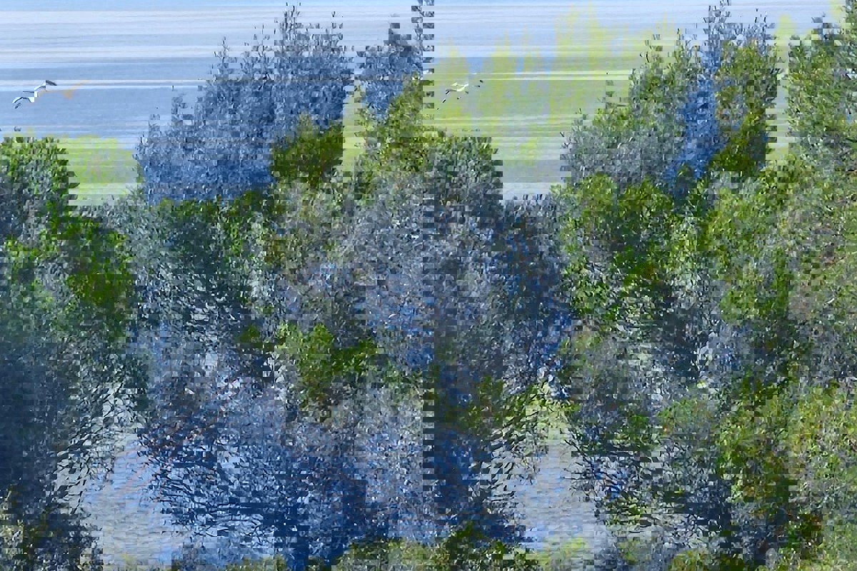 Attico vicino alla spiaggia e al centro