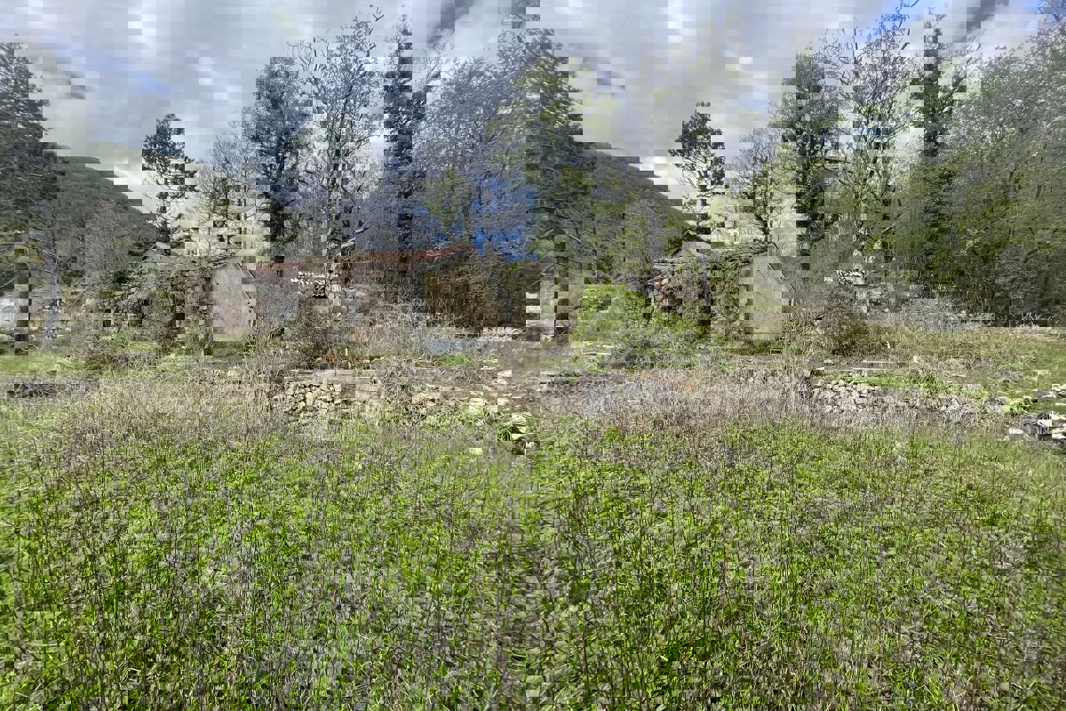 Ampio terreno con area edificabile e vista mare