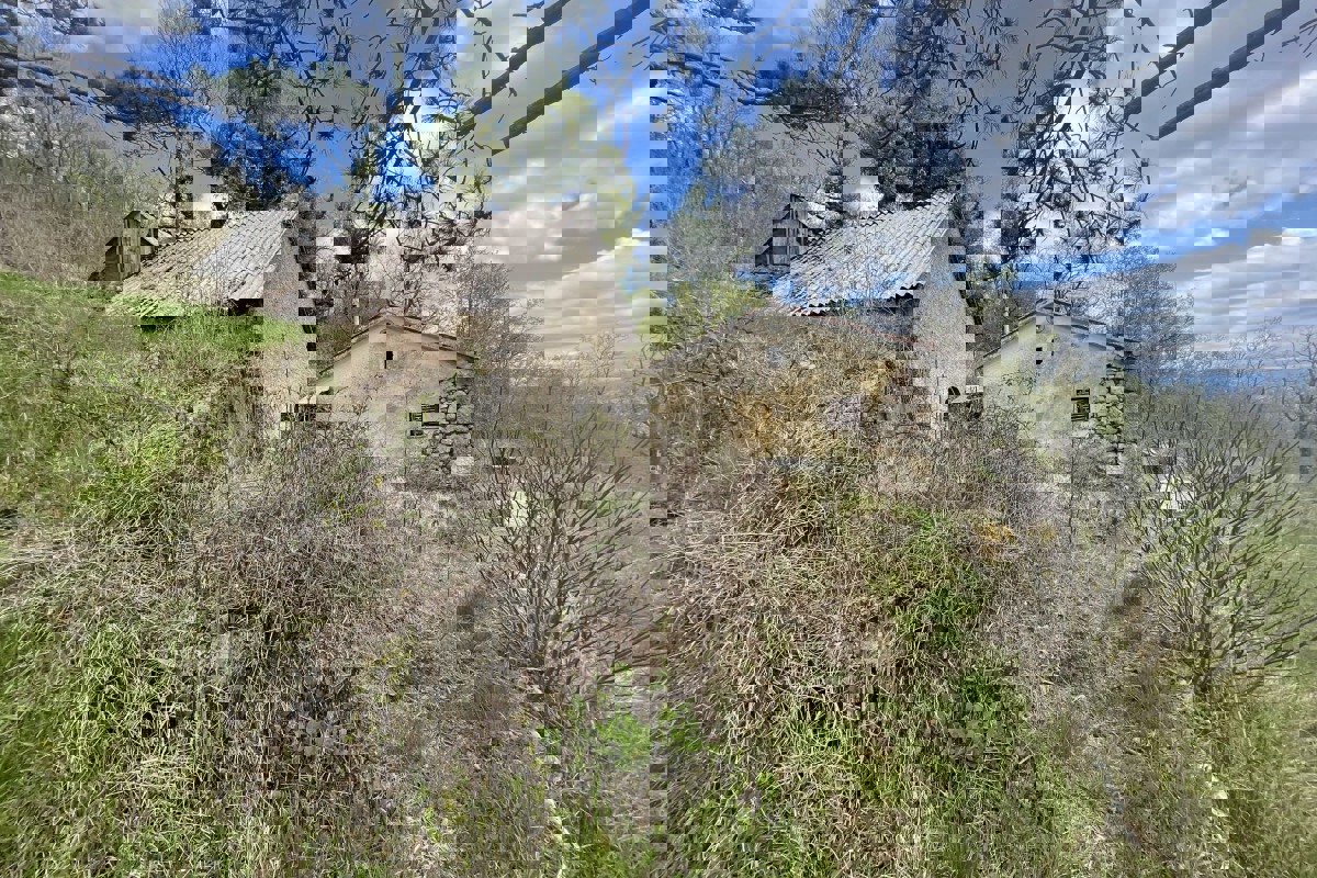 Ampio terreno con area edificabile e vista mare