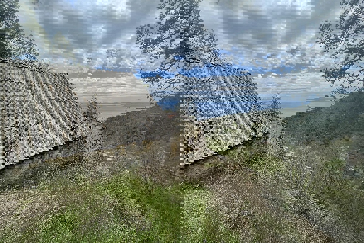 Ampio terreno con area edificabile e vista mare