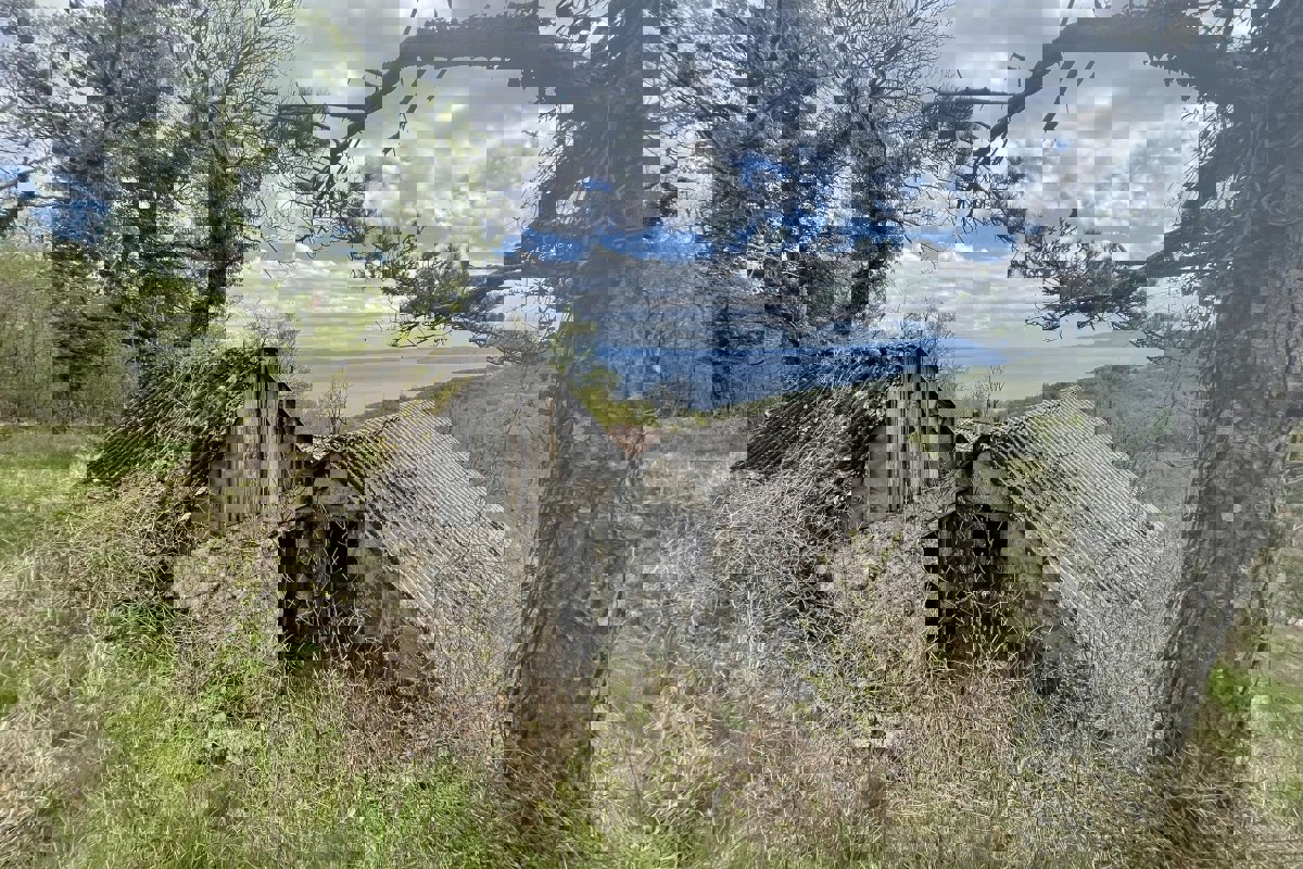 Ampio terreno con area edificabile e vista mare