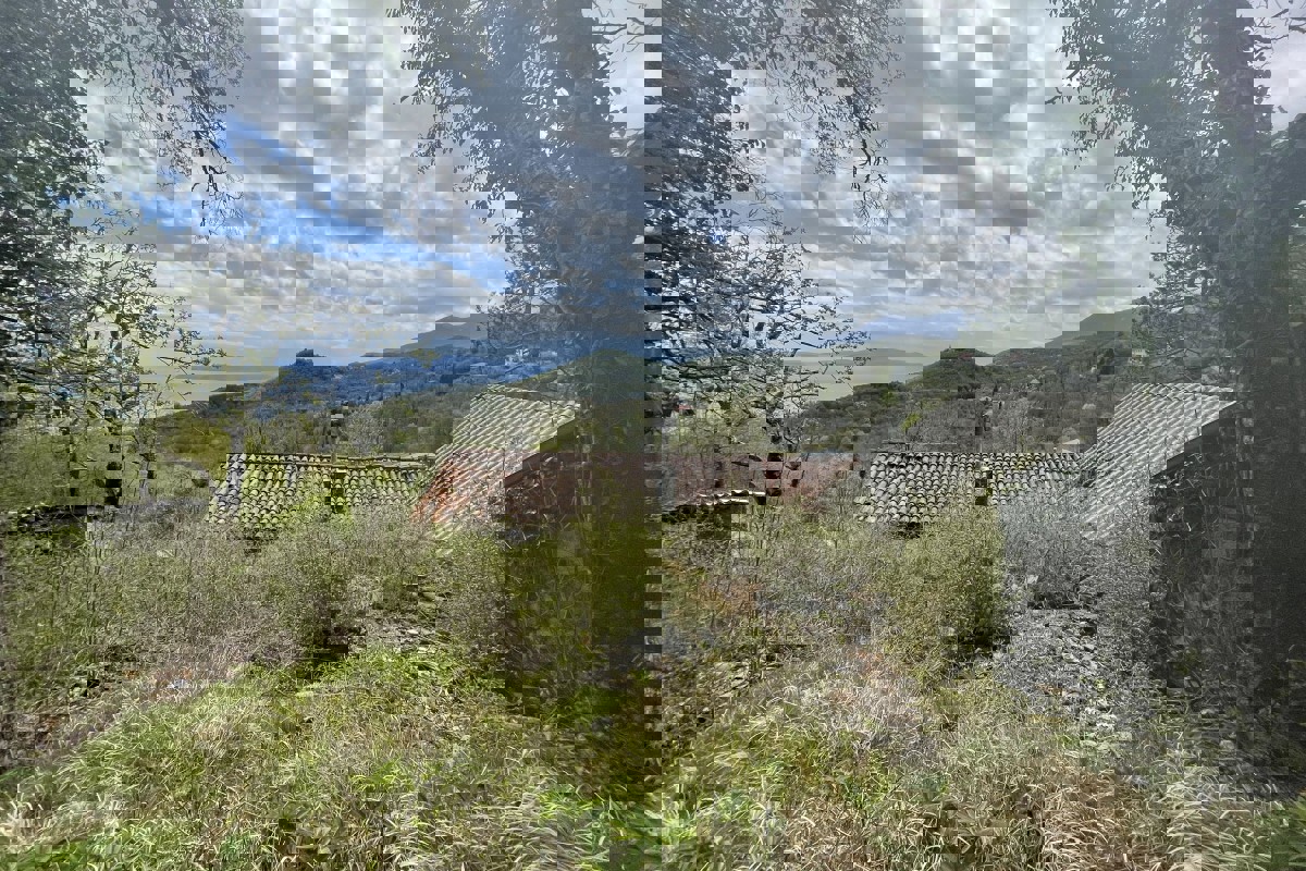 Ampio terreno con area edificabile e vista mare