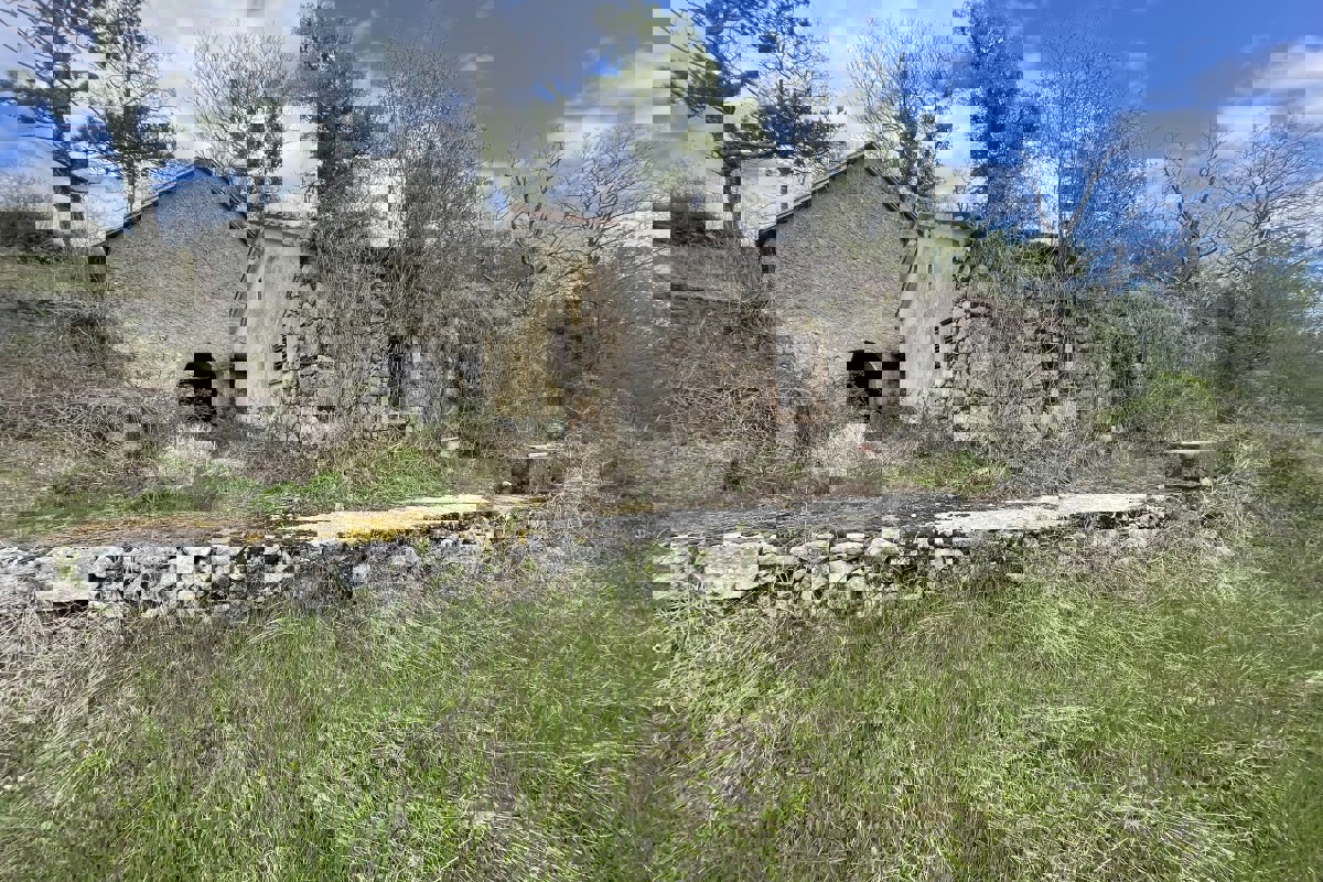 Ampio terreno con area edificabile e vista mare