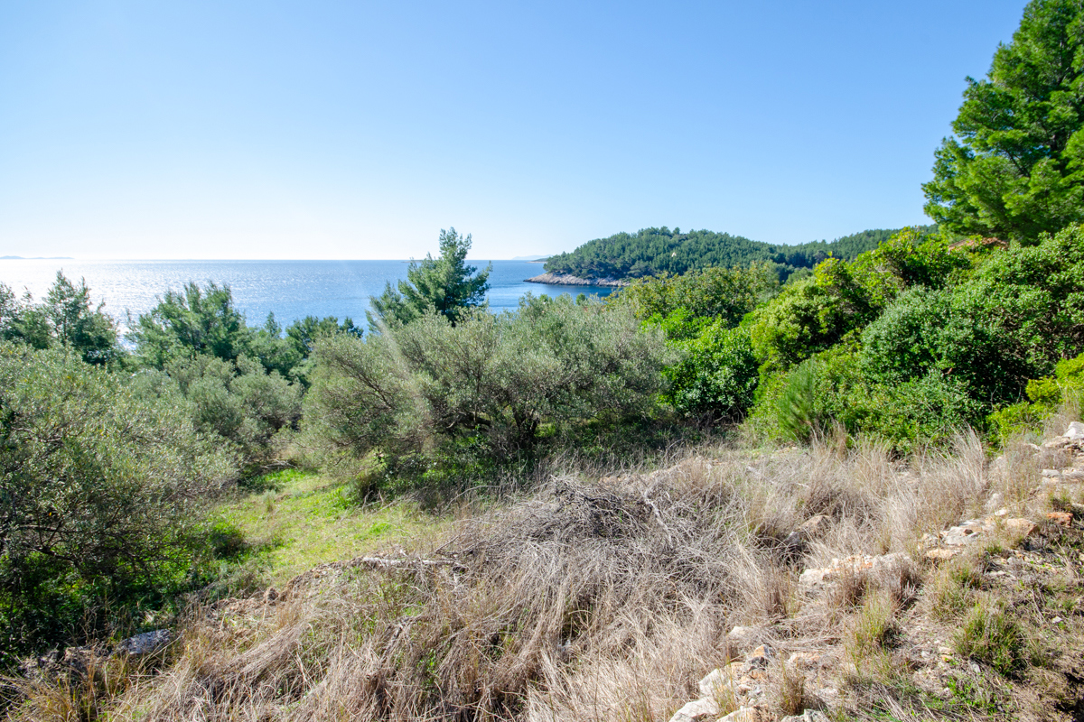 Terreno edificabile in prima fila sul mare