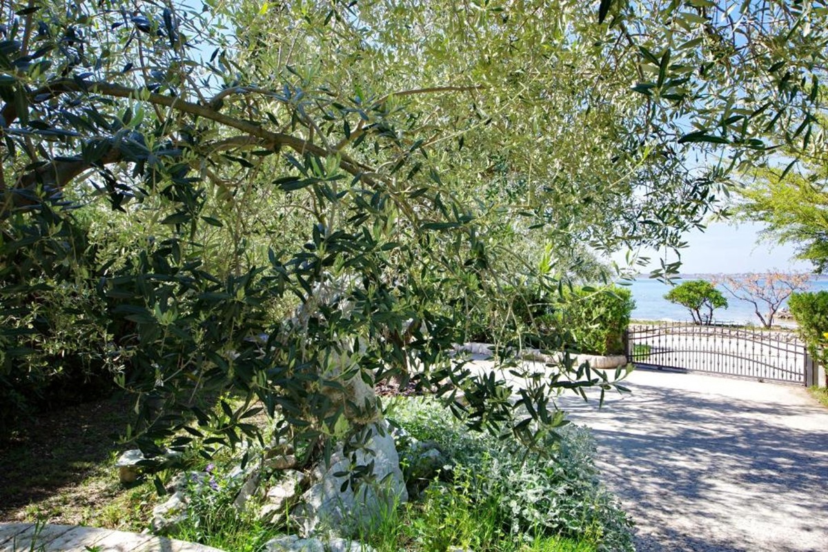 Palazzina in prima fila al mare