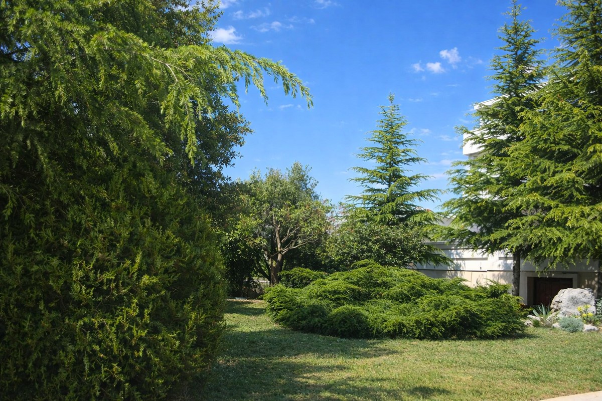 Palazzina in prima fila al mare