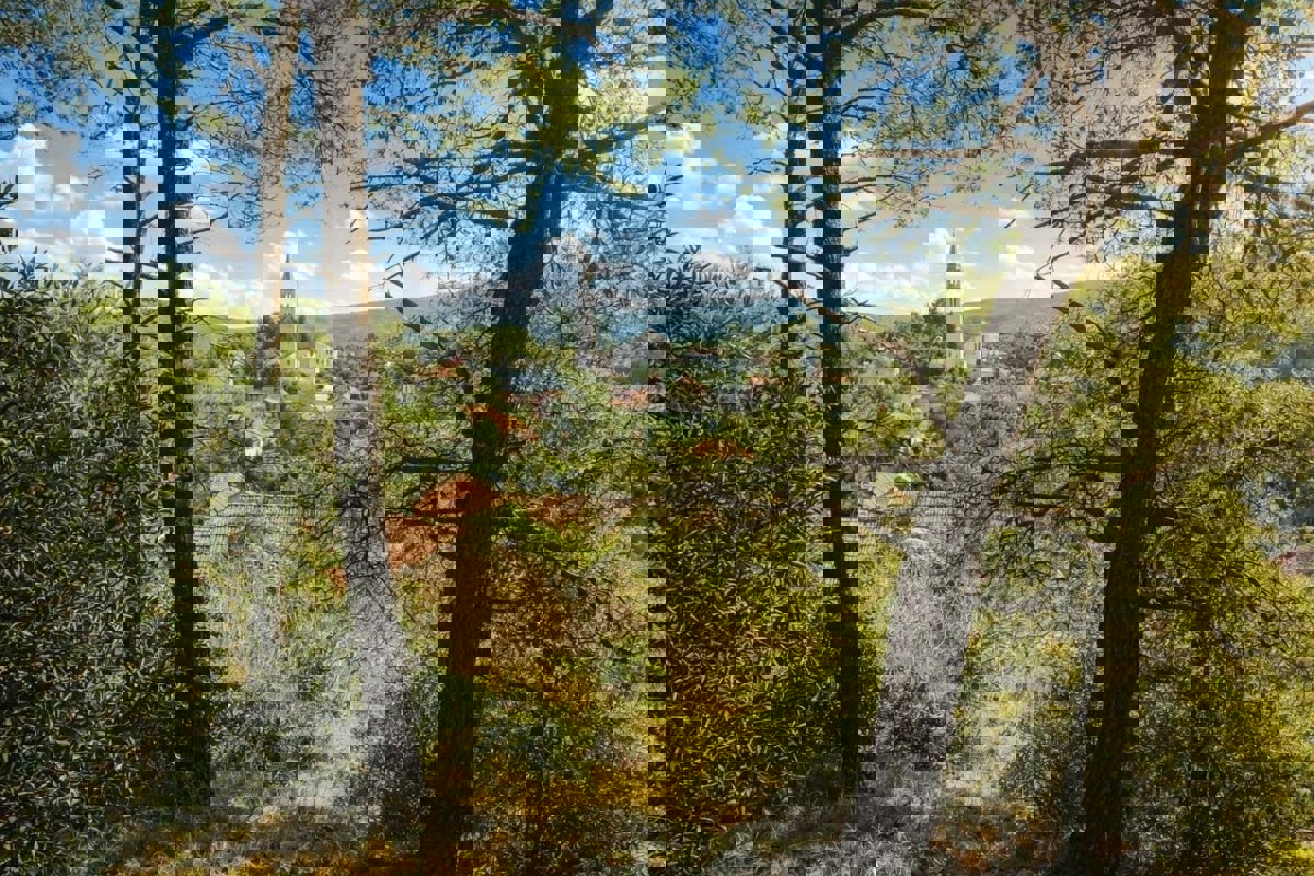 Terreno edificabile con progetto di villa in posizione privilegiata